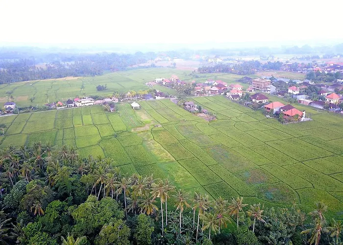 Pangkung Sari Guest house *